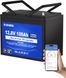 Аккумулятор LiFePO4 12V 100A литиевая батарея 1280 Вт*ч встроенная BMS 100A Bluetooth APP DCHOUSE B0CYQ4D100А фото 1